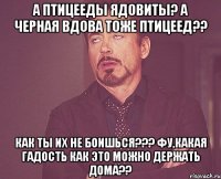 А птицееды ядовиты? А черная вдова тоже птицеед?? Как ты их не боишься??? Фу,какая гадость Как это можно держать дома??