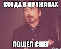 КОГДА В ПРУЖАНАХ ПОШЁЛ СНЕГ