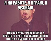 Я на работе, я играю, я уезжаю Мне ко врачу, у меня планы, я просто не прочту сообщение или не отвечу, я обожаю свою кошку