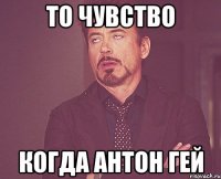 ТО ЧУВСТВО КОГДА АНТОН ГЕЙ