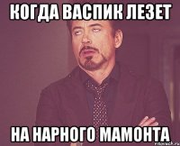 Когда васпик лезет на нарного мамонта