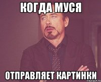 Когда муся Отправляет картинки