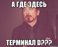 А где здесь Терминал D???