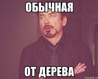 ОБЫЧНАЯ ОТ ДЕРЕВА