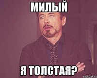 Милый я толстая?