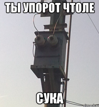 ты упорот чтоле сука