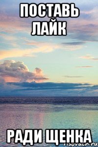 поставь лайк ради щенка