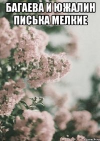 Багаева и Южалин Писька мелкие 