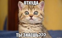 откуда ты знаешь???