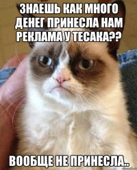 Знаешь как много денег принесла нам реклама у Тесака?? Вообще не принесла..