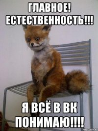 Главное! Естественность!!! Я всё в ВК понимаю!!!!