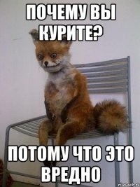 ПОЧЕМУ ВЫ КУРИТЕ? Потому что это вредно