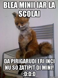 Blea minii iar la scolai Da pirigarudi eri inci nu so zatipit di mini! :D:D:D