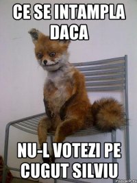 Ce se intampla daca nu-l votezi pe Cugut Silviu