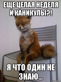 Еще целая неделя и каникулы?! Я что один не знаю...