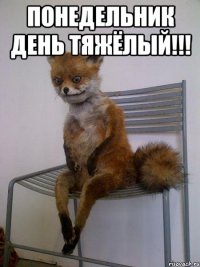 Понедельник день тяжёлый!!! 