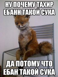 ну почему тахир ебанн такой сука да потому что ебан такой сука