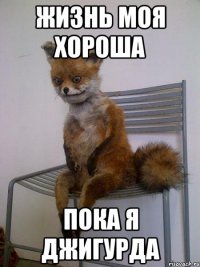 жизнь моя хороша пока я джигурда