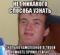 НЕТ НИКАКОГО СПОСОБА УЗНАТЬ СКОЛЬКО ХАМЕЛЕОНОВ В ТВОЕЙ КОМНАТЕ ПРЯМО СЕЙЧАС