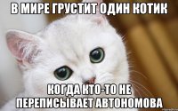в мире грустит один котик когда кто-то не переписывает Автономова
