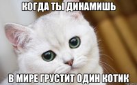 когда ты динамишь в мире грустит один котик