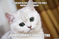 В мире плачет один котик Когда Аня не рассказывает что они с Мариной задумали