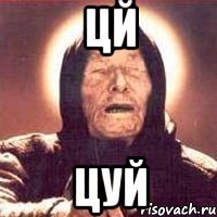 цй цуй