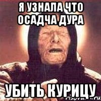 Я узнала что Осадча дура убить курицу