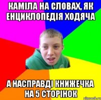 Каміла на словах, як енциклопедія ходяча а насправді книжечка на 5 сторінок