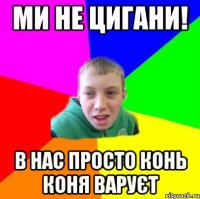 ми не цигани! в нас просто конь коня варуєт