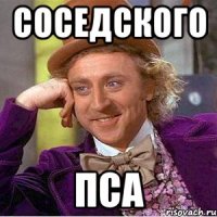 соседского пса