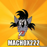  Machox222