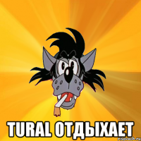  TuRaL Отдыхает