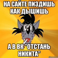 На сайте пиздишь как дышишь а в ВК "отстань Никита"