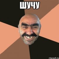 Шучу 