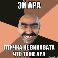 Эй АРА Птичка не виновата что тоже АРА