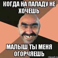 когда на паладу не хочешь малыш ты меня огорчяешь