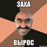 заха вырос