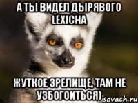 А ты видел дырявого Lexichа жуткое зрелище, там не узбогоиться)