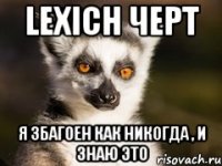 Lexich ЧЕРТ Я збагоен как никогда , и знаю это