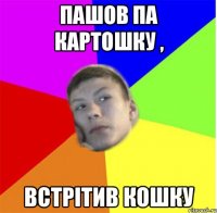 пашов па картошку , встрітив кошку