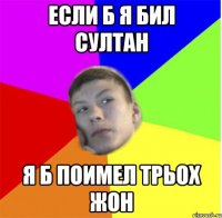 Если б я бил султан я б поимел трьох жон