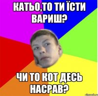 Катьо,то ти їсти вариш? чи то кот десь насрав?