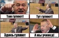 Там гуляют! Тут гуляют! Здесь гуляют А мы учимся!