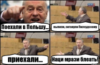 Поехали в Польшу... выпили, зиганули Пилсудскому приехали... Наци мрази блеать!