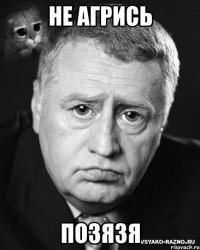не агрись позязя