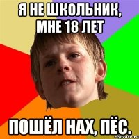 я не школьник, мне 18 лет пошёл нах, пёс.