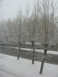 Создать мем 1