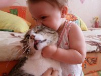 Создать мем бар