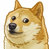 Рома Олень, Мем Doge